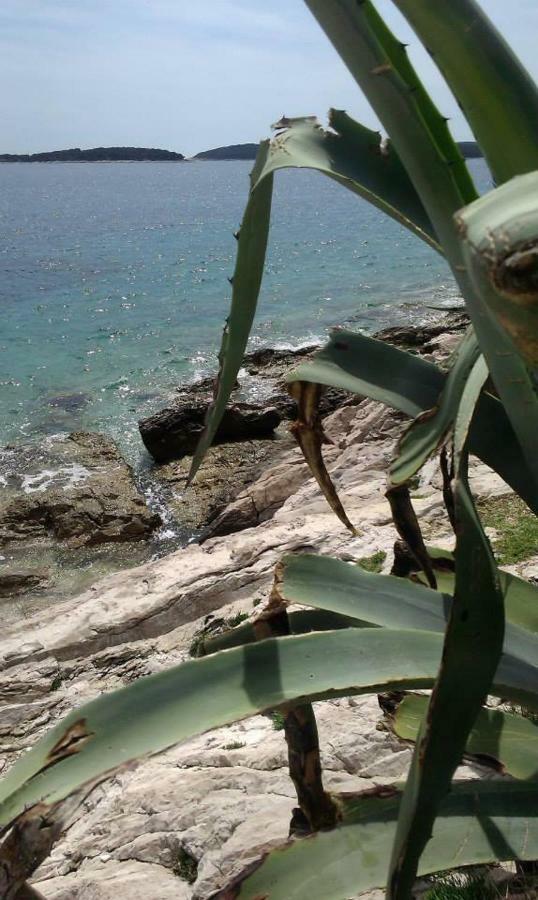 Liza'S Downtown Apartment Hvar Town Extérieur photo